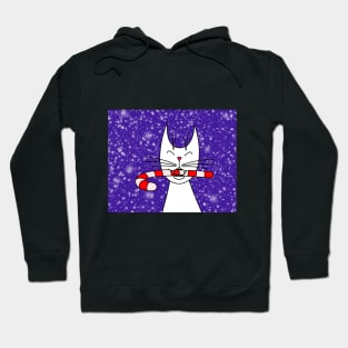 New Year Cat Hoodie